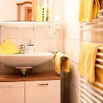 Apartment Royer Schladming